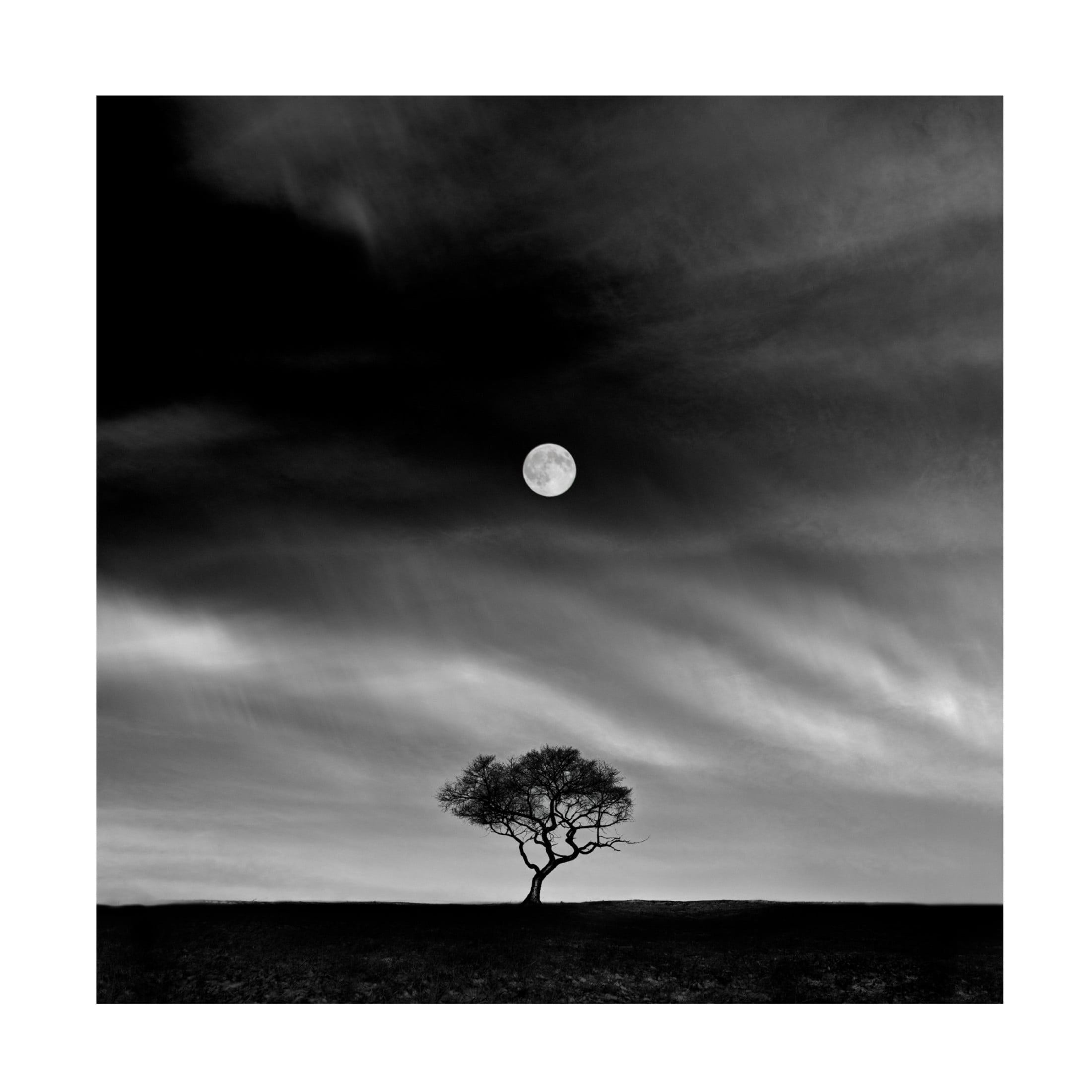 Trademark Fine Art Hsiao Yang Fei  Stories under the Moon (No 5) Canvas Wall Art