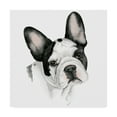 thumbnail image 1 of Trademark Fine Art 'Humans Best Friend IV' Canvas Art by Grace Popp, 1 of 4