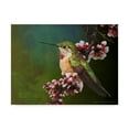 thumbnail image 1 of Trademark Fine Art 'Hummer with Blossoms' Canvas Art by Chris Vest, 1 of 4