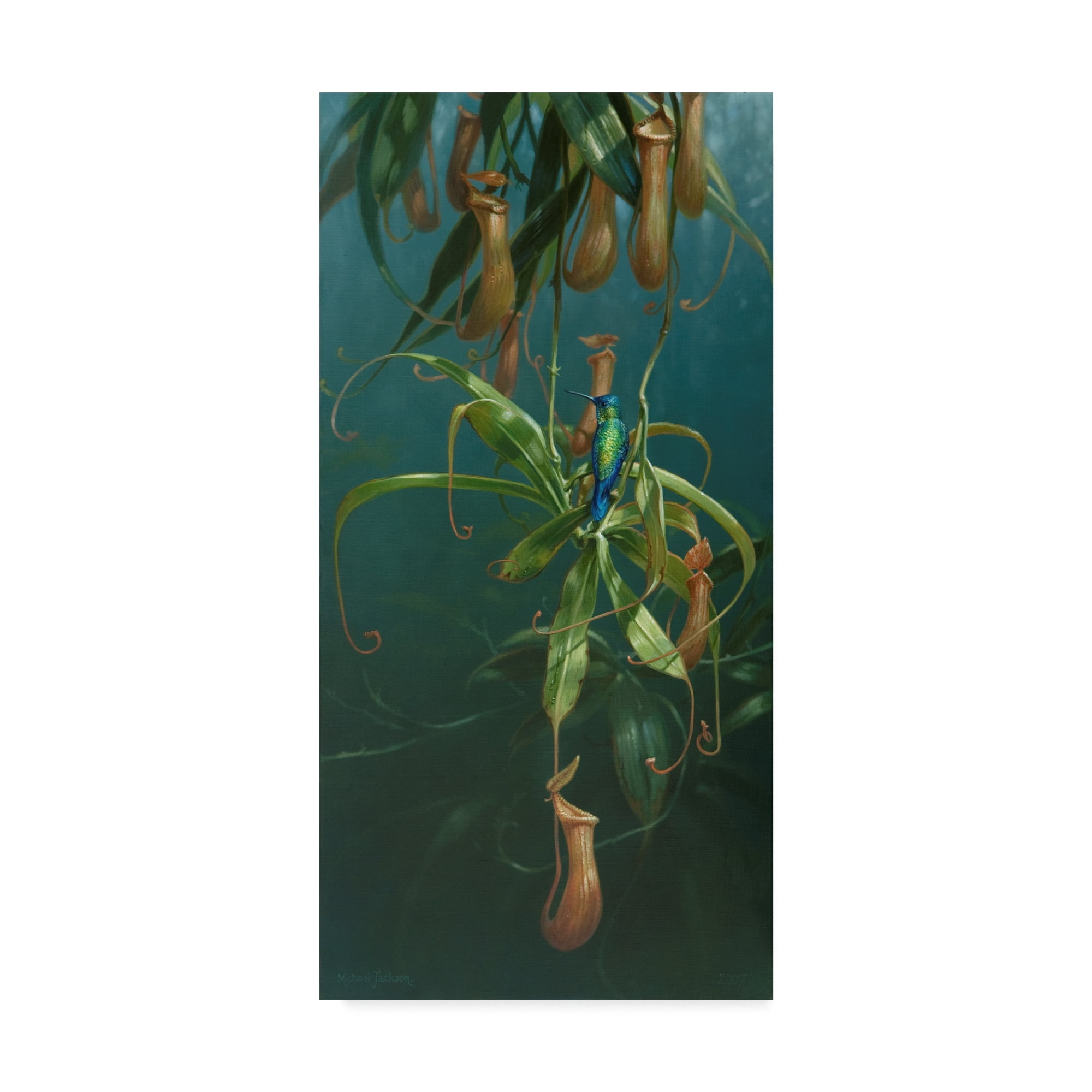 Trademark Fine Art 'Humming Birds' Canvas Art by Michael Jackson