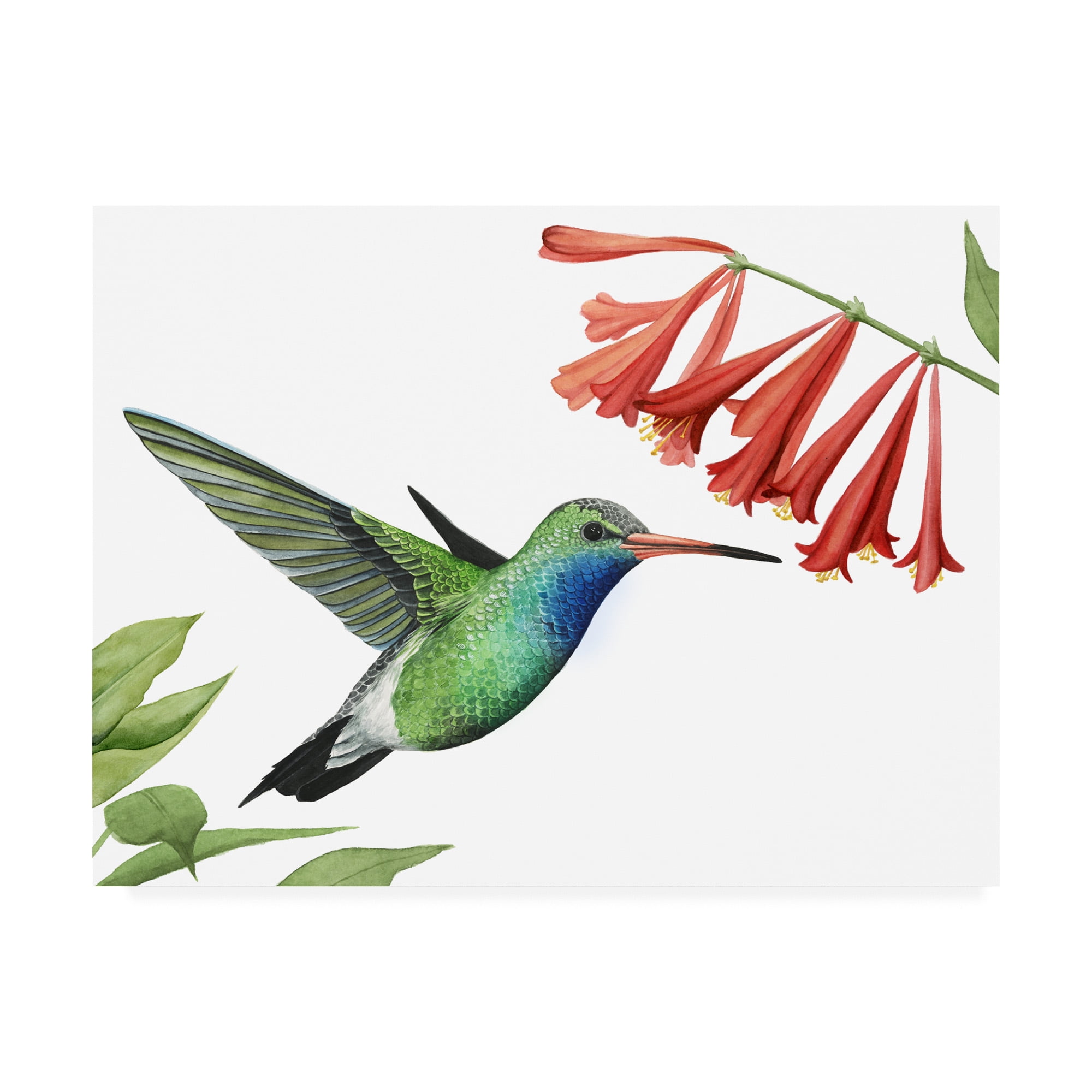 Grace Popp Hummingbird and Red Flowers Canvas Art