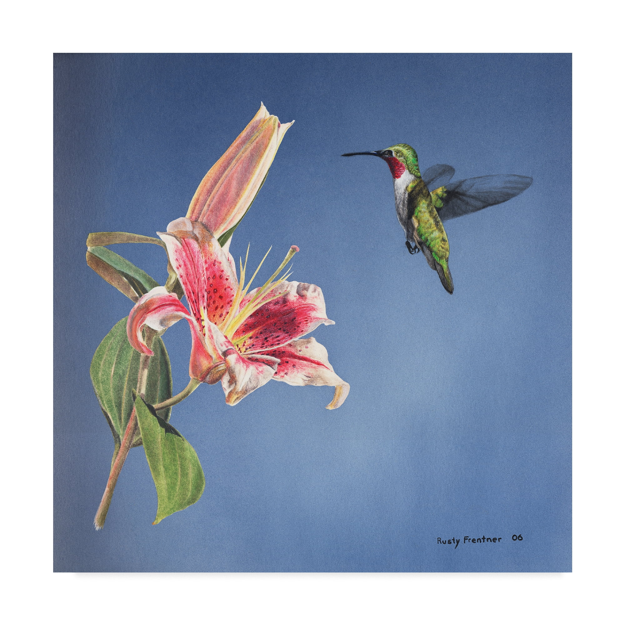 Trademark Fine Art 'Hummingbird And Lily' Canvas Art by Rusty Frentner