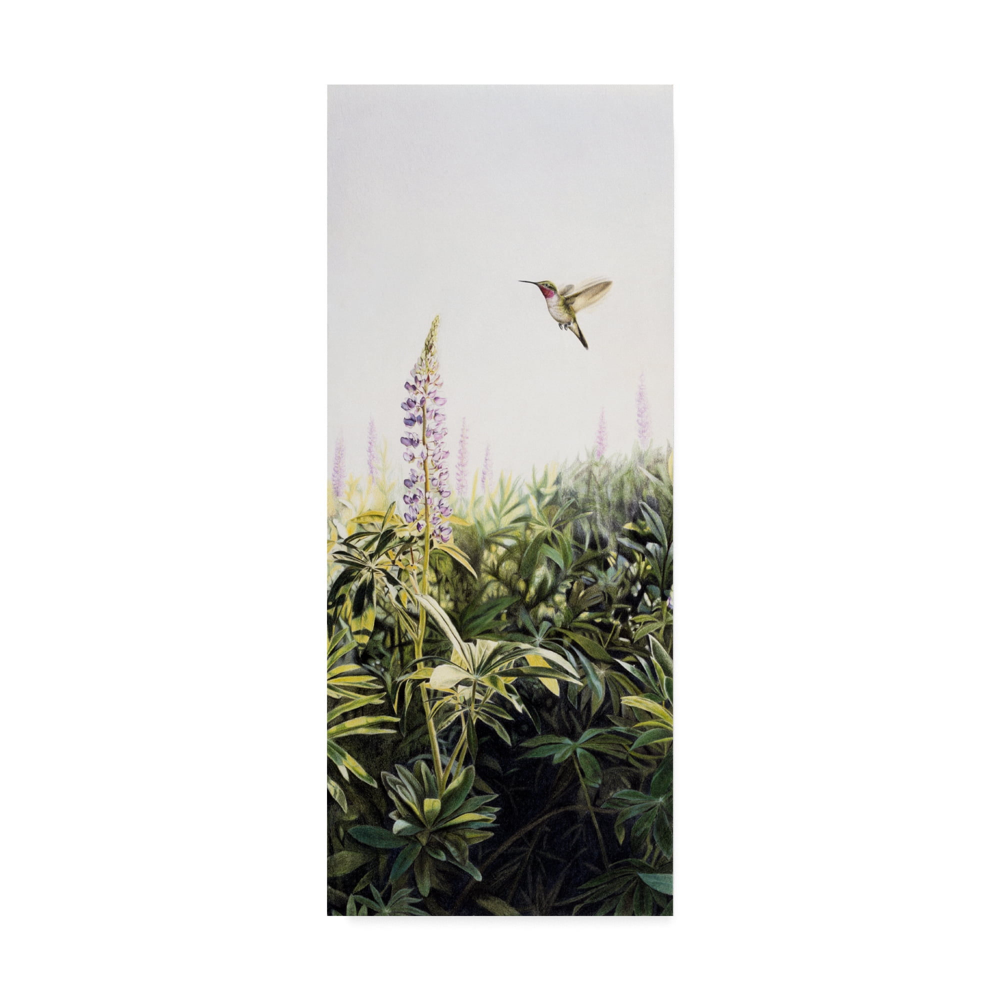 Trademark Fine Art 'Hummingbird' Canvas Art by Rusty Frentner