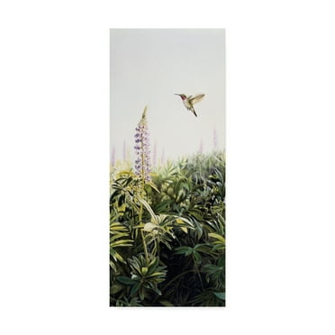 Trademark Fine Art 'Hummingbird' Canvas Art by Rusty Frentner