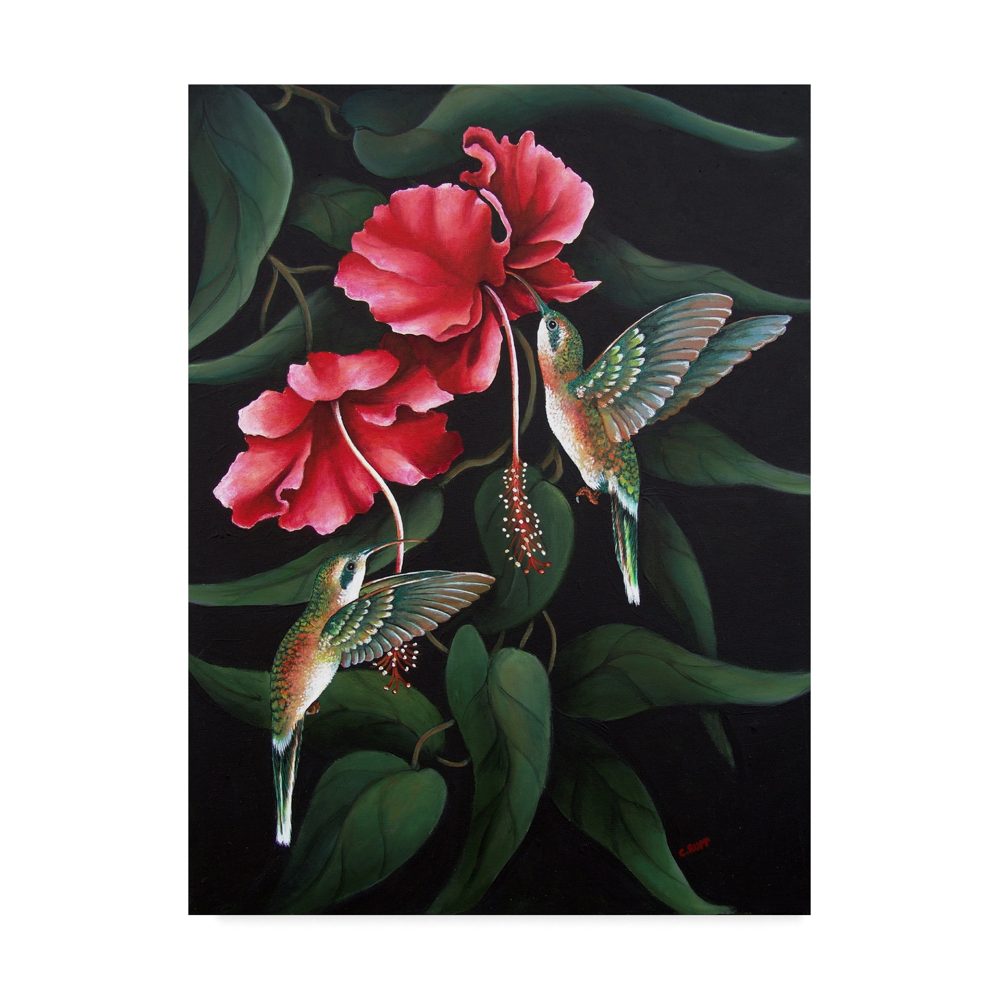 Trademark Fine Art 'Hummingbird Duet' Canvas Art by Carol J Rupp