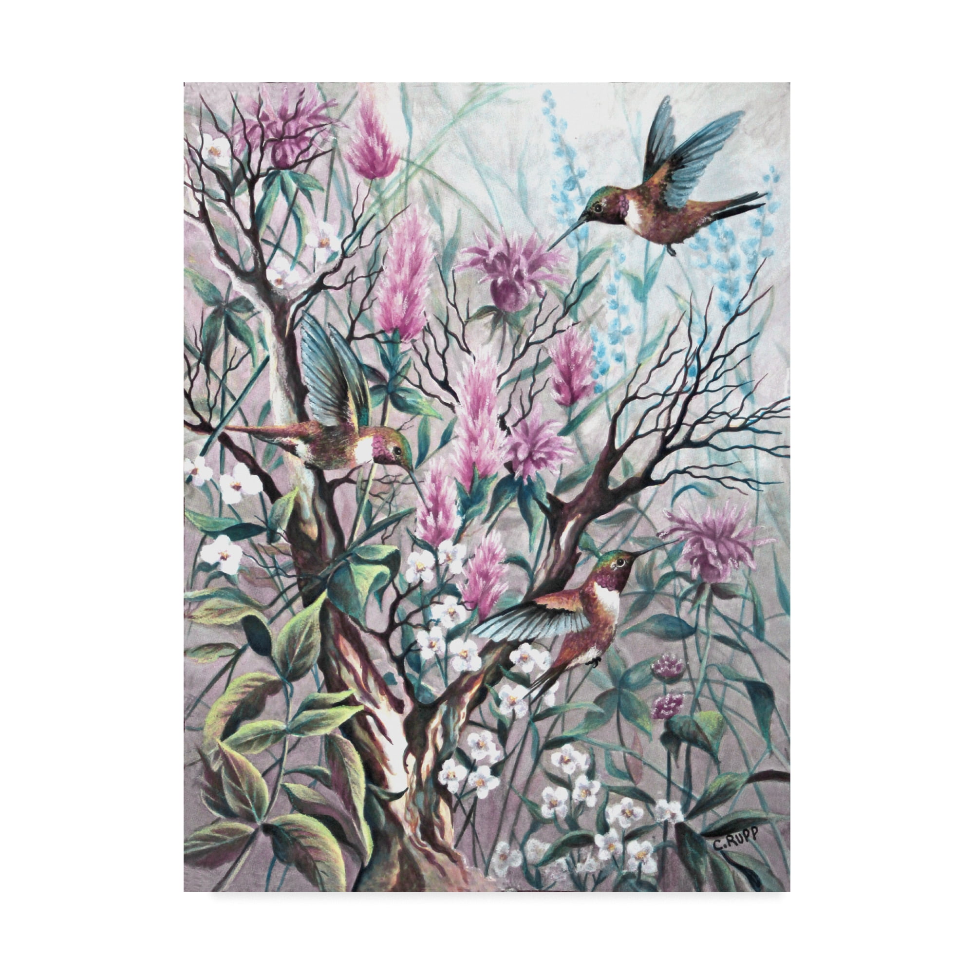 Trademark Fine Art 'Hummingbird Tapestry' Canvas Art by Carol J Rupp