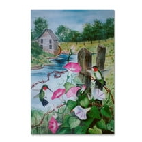 Trademark Fine Art 'Hummingbirds' Canvas Art by Arie Reinhardt Taylor