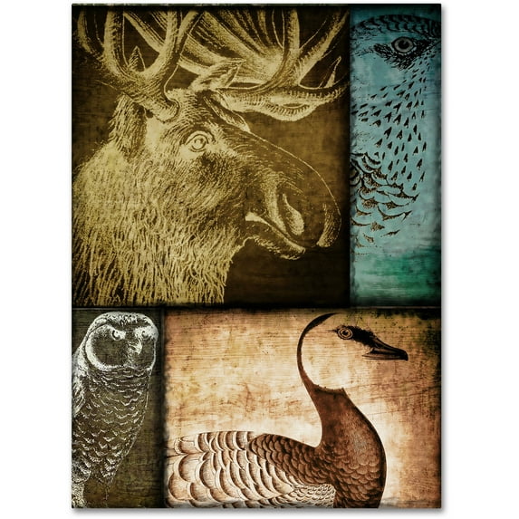 Trademark Fine Art "Hunting Season III" Canvas Art by Color Bakery