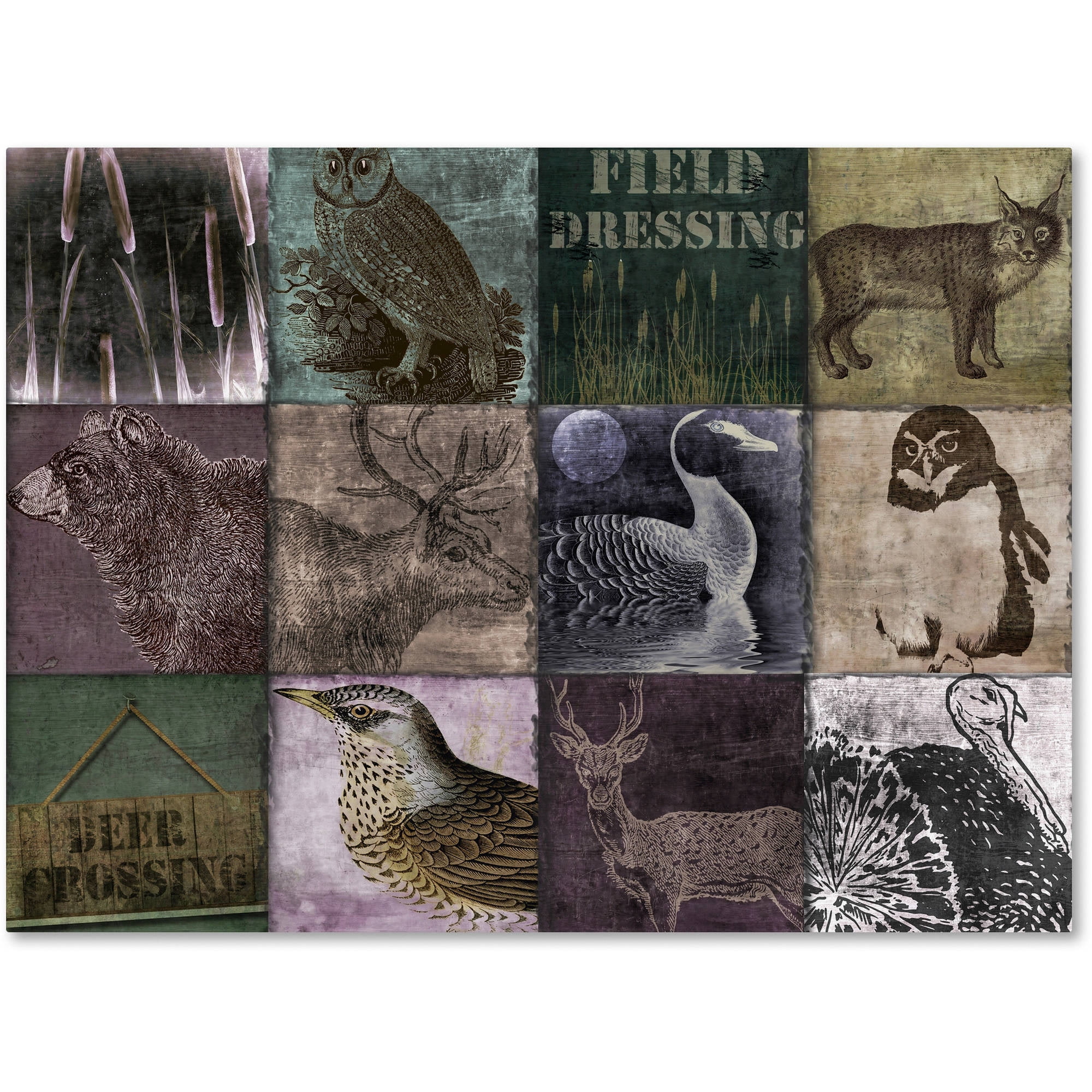 Trademark Fine Art "Hunting Season VI" Canvas Art by Color Bakery
