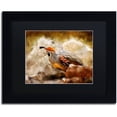 thumbnail image 1 of Trademark Fine Art "Hurrying Quail" Canvas Art by Lois Bryan Black Matte, Black Frame, 1 of 4