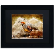 Trademark Fine Art "Hurrying Quail" Canvas Art by Lois Bryan Black Matte, Black Frame