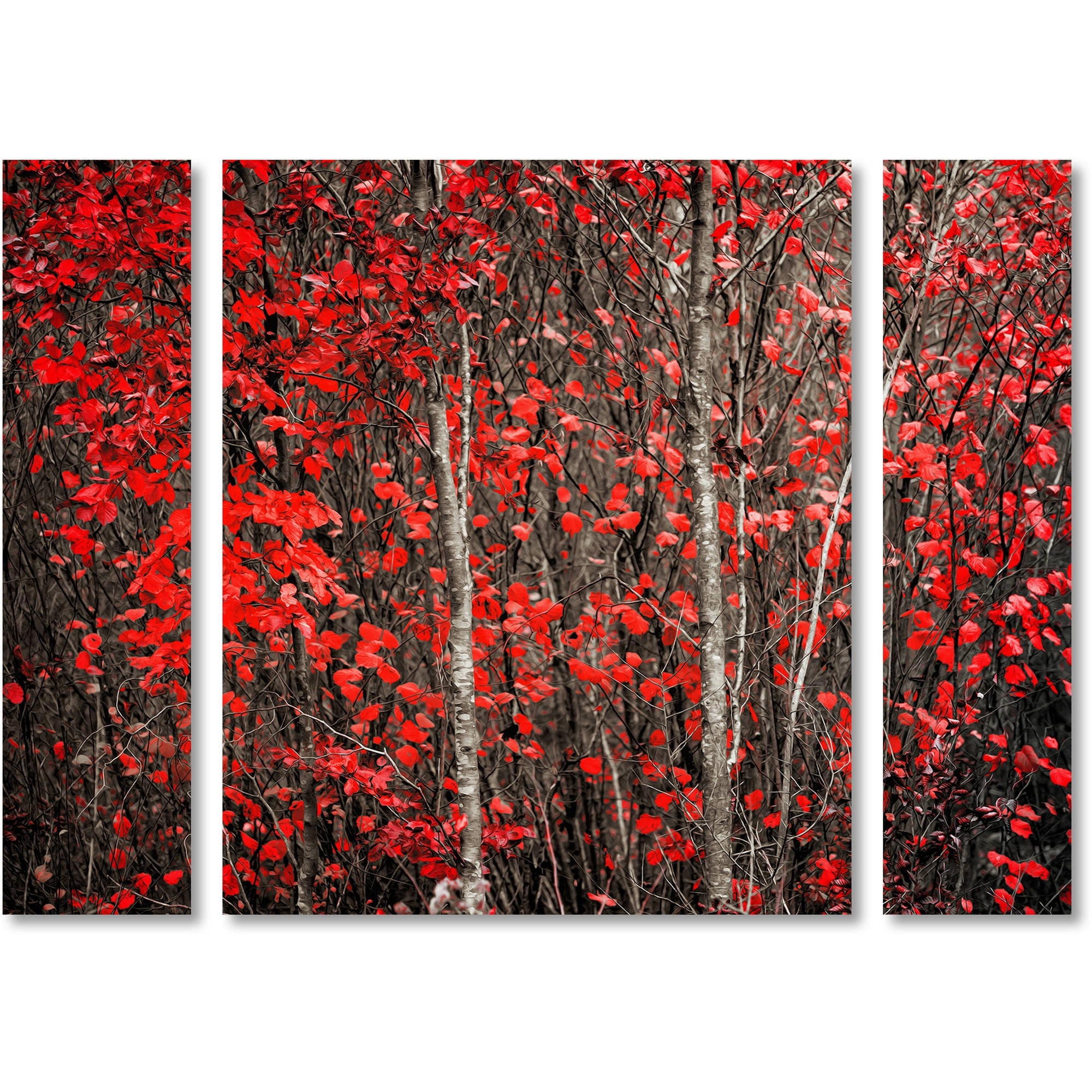 Trademark Fine Art "Hush Before Winter" Canvas Art by Philippe Sainte-Laudy Three Panel Set