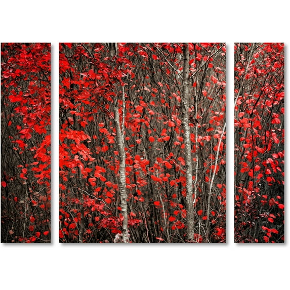 Trademark Fine Art "Hush Before Winter" Canvas Art by Philippe Sainte-Laudy Three Panel Set