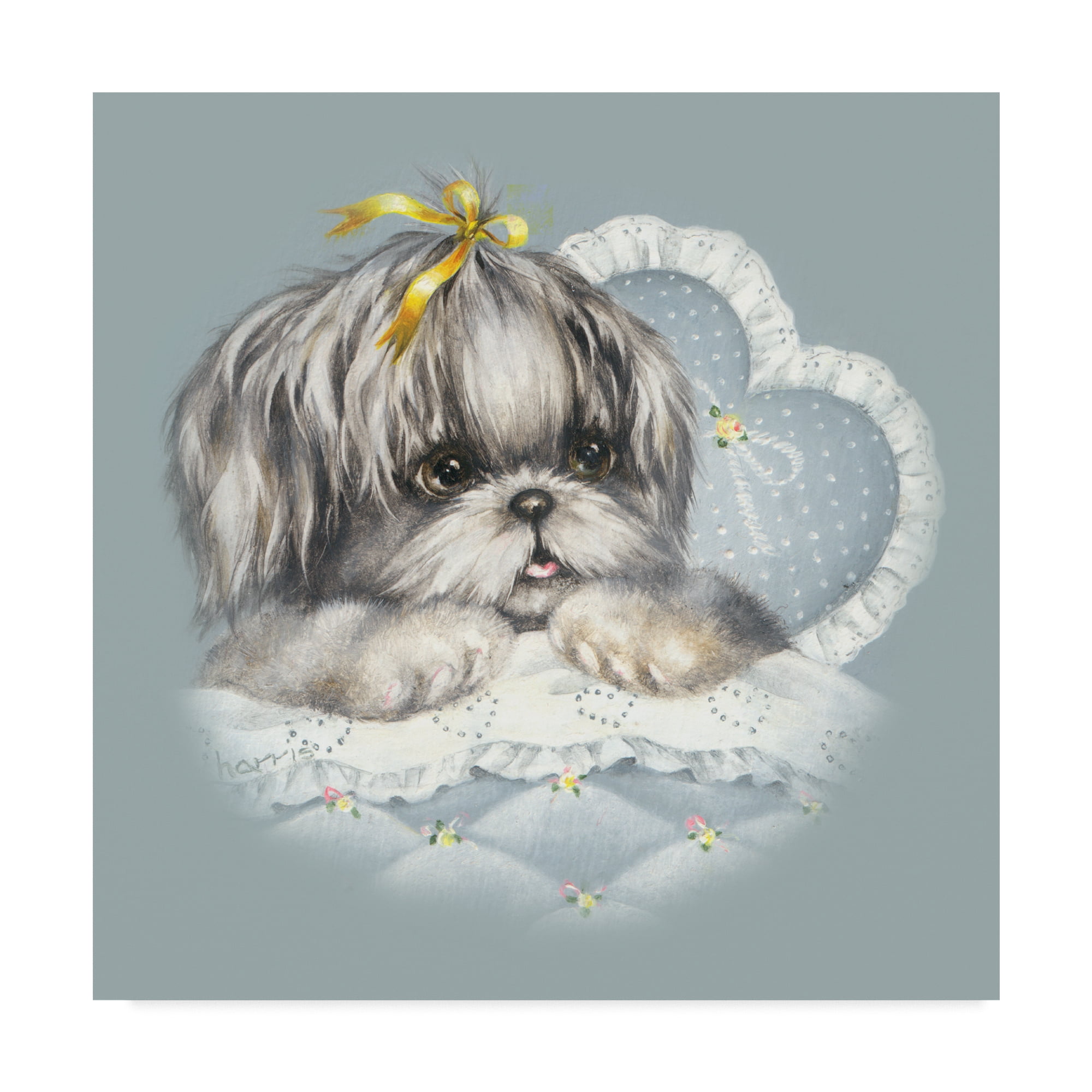 Hush puppies pomeranian cheap