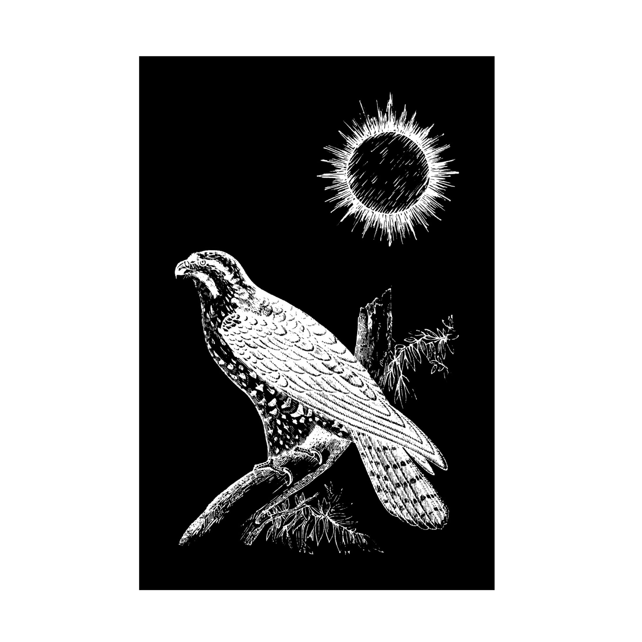 Trademark Fine Art Hussein Abdel Aal Falcon Peregrine Canvas Wall Art