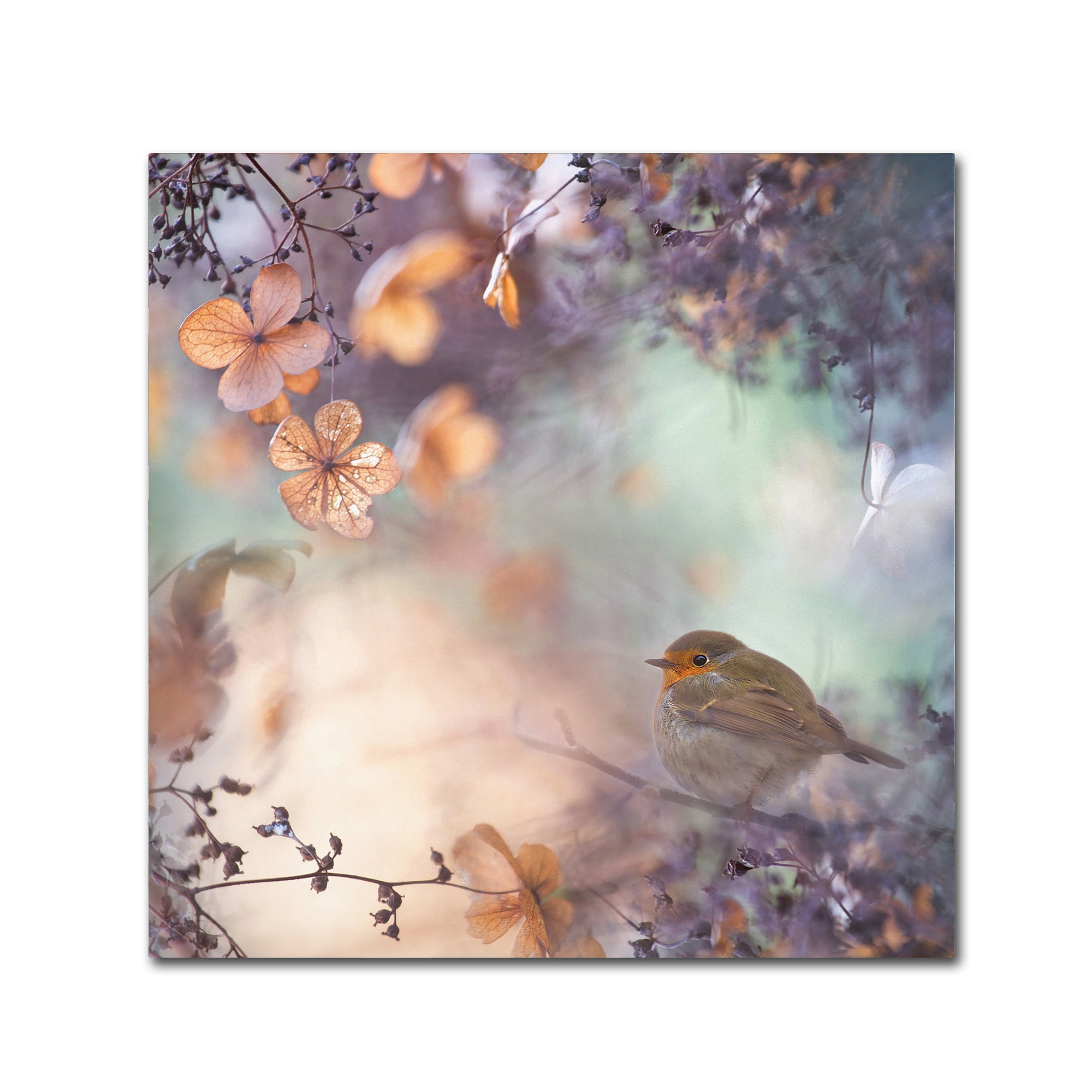 Hydrangea Fantasy Bird on Floral Frame Canvas Print