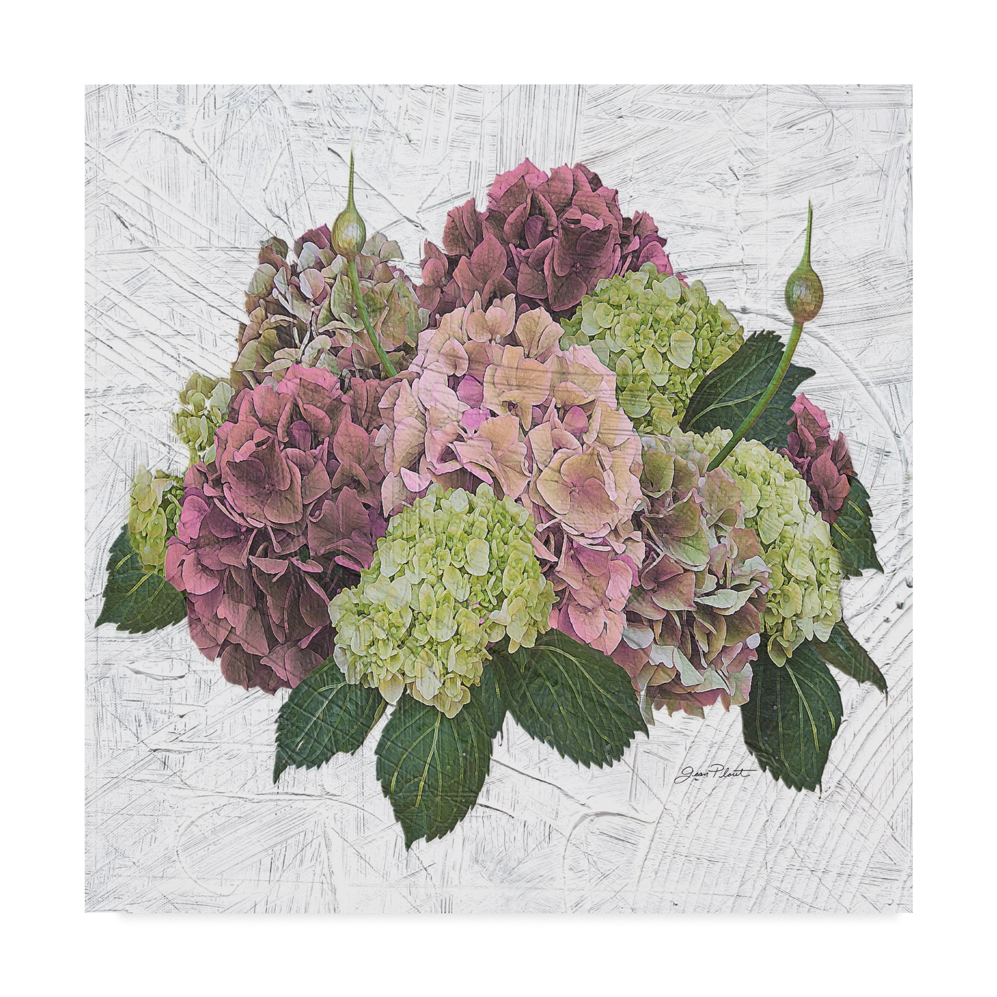 Trademark Fine Art 'Hydrangea Vignette Pink' Canvas Art by Jean Plout
