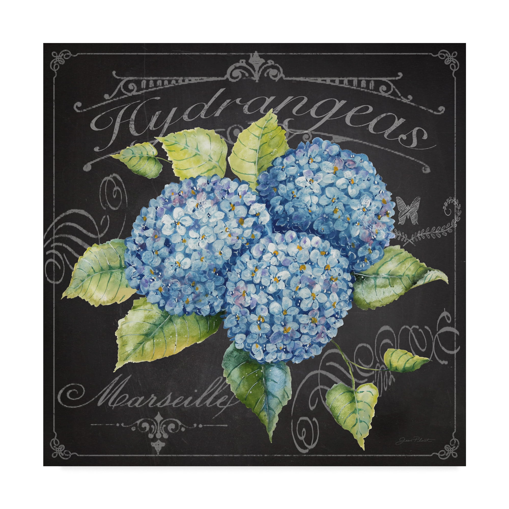 Trademark Fine Art 'Hydrangeas 3' Canvas Art by Jean Plout