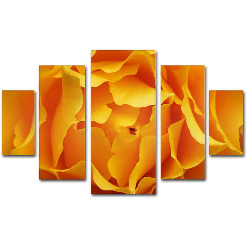Trademark Fine Art "Hypnotic Yellow Rose" Canvas Art Set by Kurt Shaffer, 5pc Panel Set, 58" x 40"