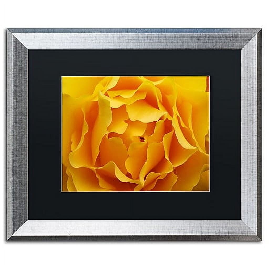 Trademark Fine Art "Hypnotic Yellow Rose" Canvas Art by Kurt Shaffer Black Matte, Silver Frame