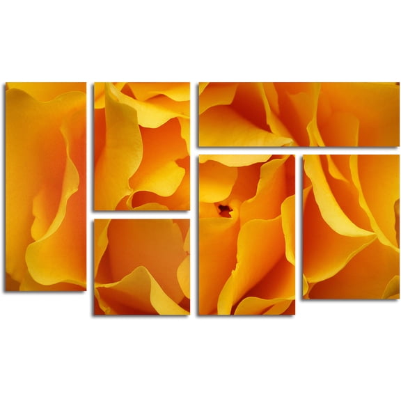 Trademark Fine Art "Hypnotic Yellow Rose" Multi-Panel Art Set by Kurt Shaffer