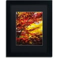 thumbnail image 1 of Trademark Fine Art "I Believe" Canvas Art by Philippe Sainte-Laudy Black Matte, Black Frame, 1 of 4