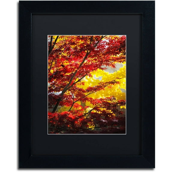 Trademark Fine Art "I Believe" Canvas Art by Philippe Sainte-Laudy Black Matte, Black Frame