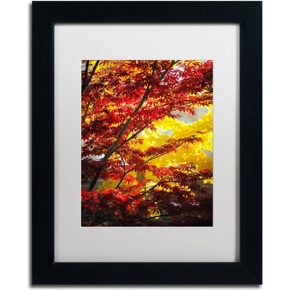 Trademark Fine Art "I Believe" Canvas Art by Philippe Sainte-Laudy White Matte, Black Frame