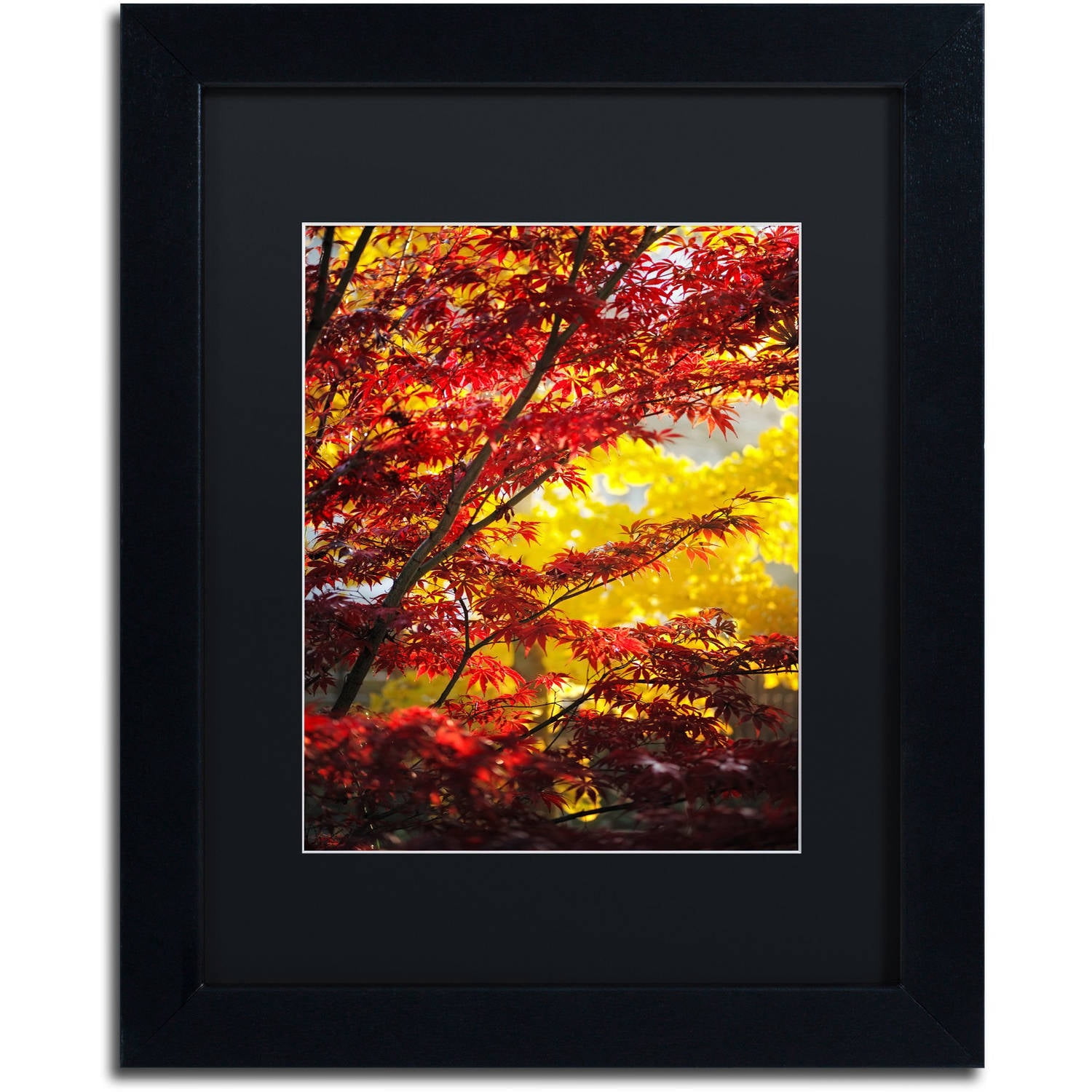 Trademark Fine Art ''I Believe'' by Philippe Sainte-Laudy 16" x 20" Black Matted Black Frame (886511797383)