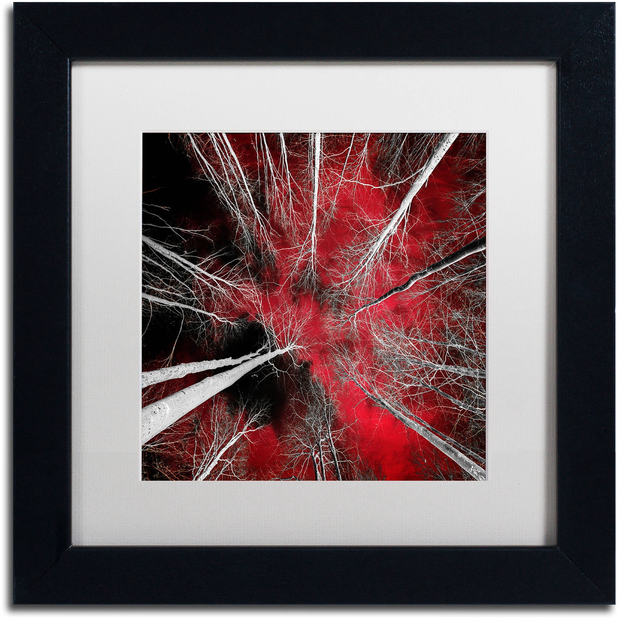 Trademark Fine Art "I Can't Believe It" Canvas Art by Philippe Sainte-Laudy White Matte, Black Frame