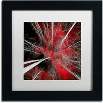 Trademark Fine Art "I Can't Believe It" Canvas Art by Philippe Sainte-Laudy White Matte, Black Frame