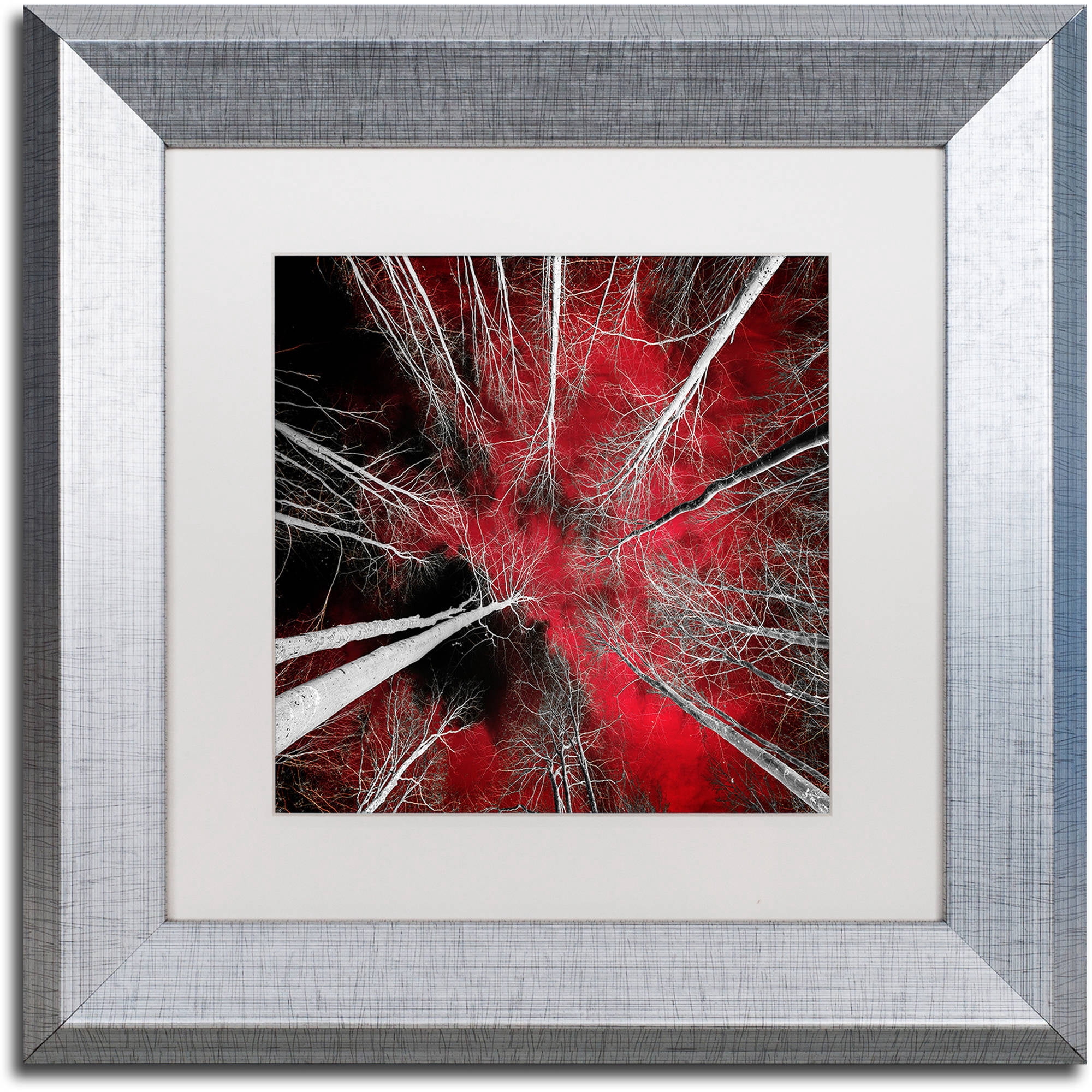 Trademark Fine Art "I Can't Believe It" Canvas Art by Philippe Sainte-Laudy White Matte, Silver Frame