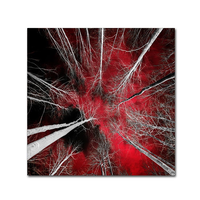 Trademark Fine Art "I Can't Believe It" Canvas Art by Philippe Sainte-Laudy