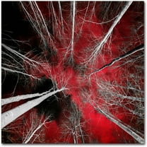 Trademark Fine Art "I Can't Believe It" Canvas Art by Philippe Sainte-Laudy