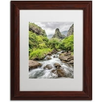 Trademark Fine Art 'Iao Valley Maui' Canvas Art by Pierre Leclerc, White Matte, Wood Frame