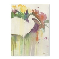 Trademark Fine Art 'Ibis Dream' Canvas Art by Sheila Golden
