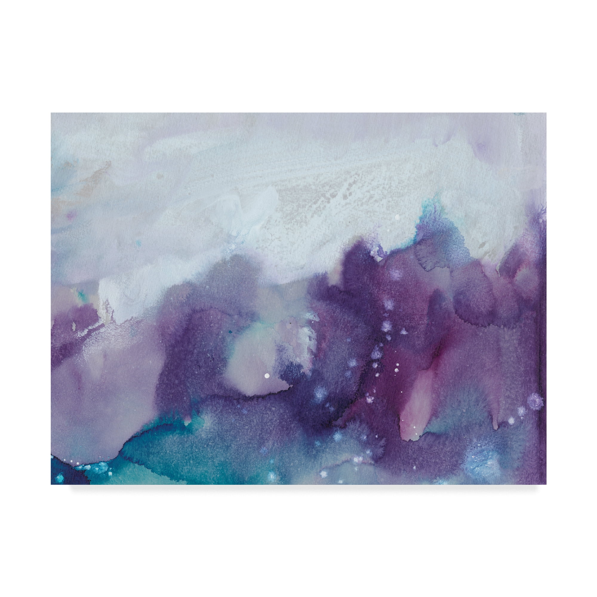 Trademark Fine Art 'Ice Crystals IV' Canvas Art by Joyce Combs