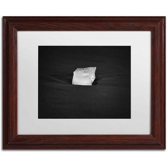 Trademark Fine Art 'Ice Cube' Canvas Art by Philippe Sainte-Laudy, White Matte, Wood Frame
