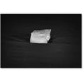 thumbnail image 1 of Trademark Fine Art 'Ice Cube' Canvas Art by Philippe Sainte-Laudy, 1 of 1
