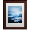 thumbnail image 1 of Trademark Fine Art 'Ice Jewelry' Canvas Art by Philippe Sainte-Laudy, White Matte, Wood Frame, 1 of 1