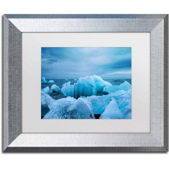 Trademark Fine Art 'Ice Park' Canvas Art by Philippe Sainte-Laudy, White Matte, Silver Frame