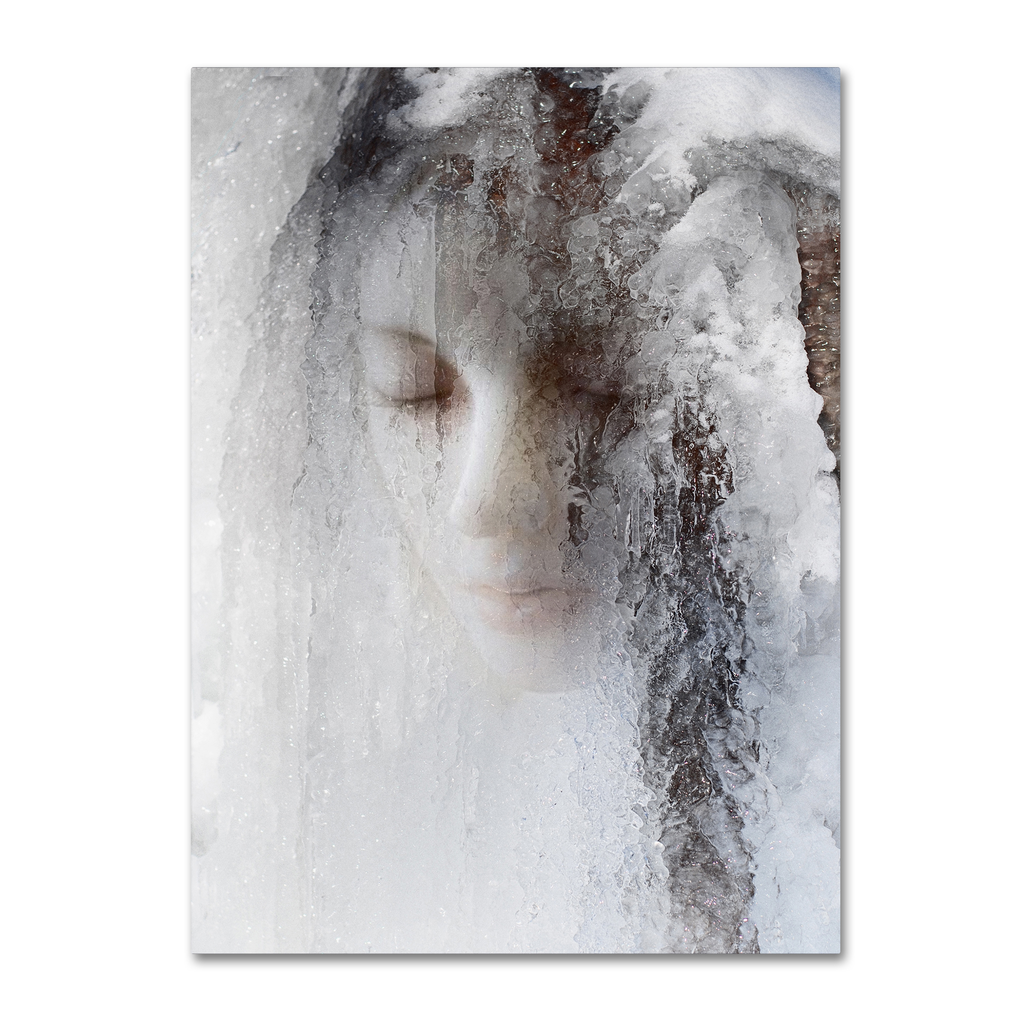 Trademark Fine Art 'Ice Queen' Canvas Art by Jeffrey Hummel