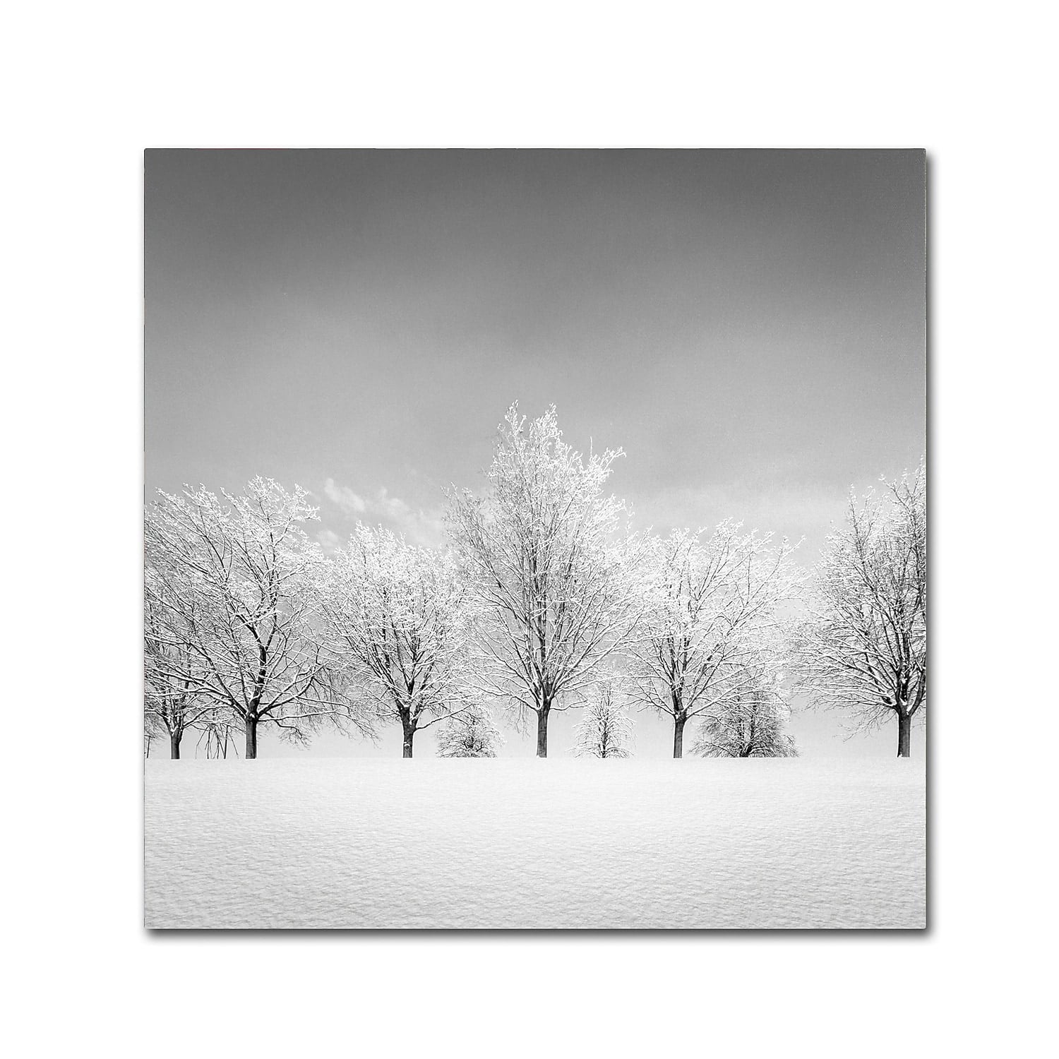 Trademark Fine Art "Ice Storm" Canvas Art by Dave MacVicar