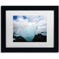thumbnail image 1 of Trademark Fine Art 'Ice on the Beach' Canvas Art by Philippe Sainte-Laudy, White Matte, Black Frame, 1 of 1