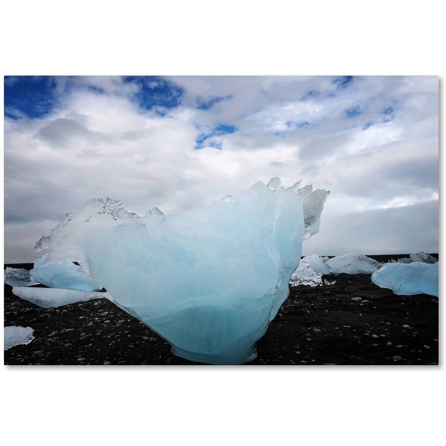 Trademark Fine Art 'Ice on the Beach' Canvas Art by Philippe Sainte-Laudy