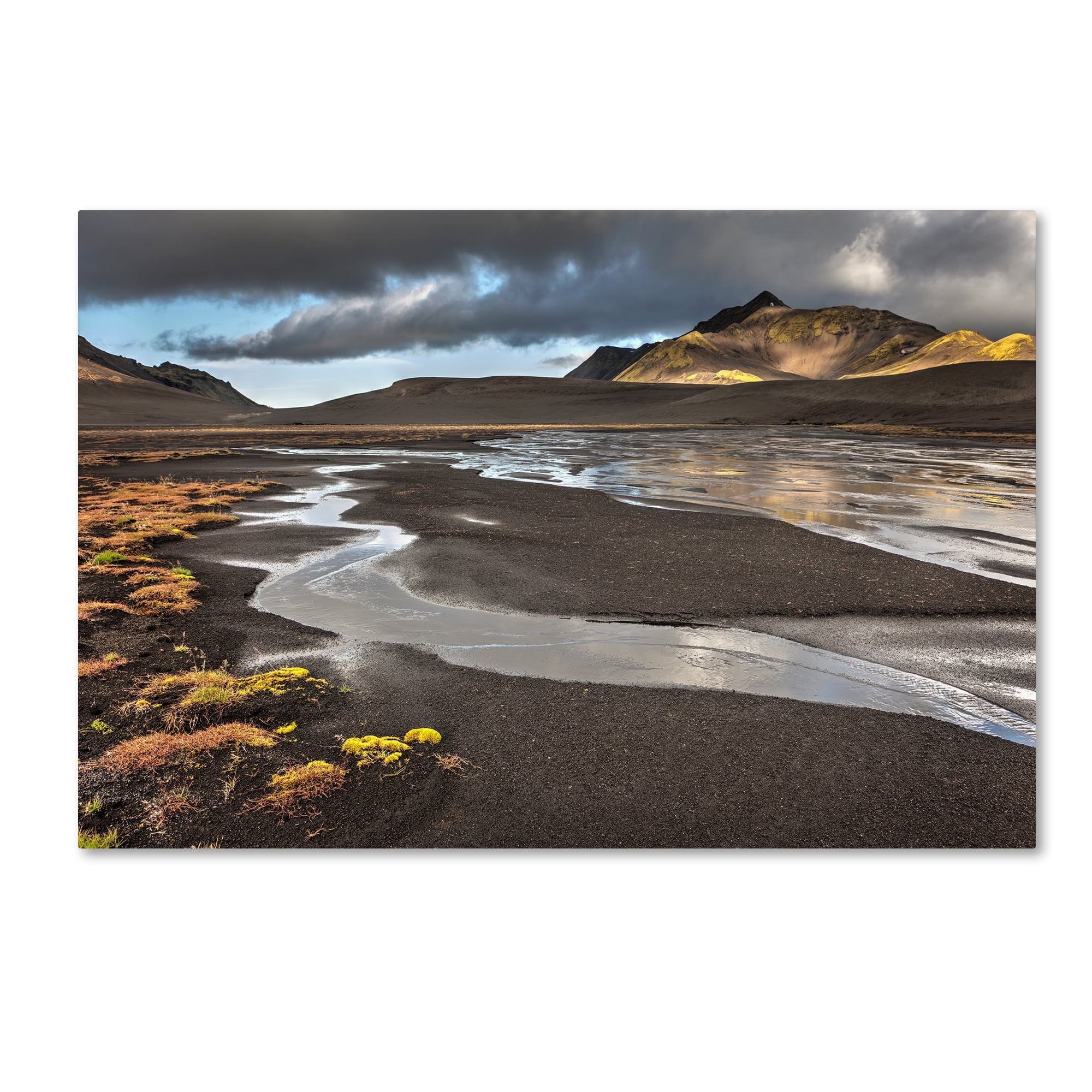 Trademark Fine Art 'Iceland 41' Canvas Art by Maciej Duczynski