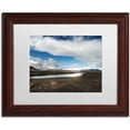 thumbnail image 1 of Trademark Fine Art 'Icelandic Silence' Canvas Art by Philippe Sainte-Laudy, White Matte, Wood Frame, 1 of 1