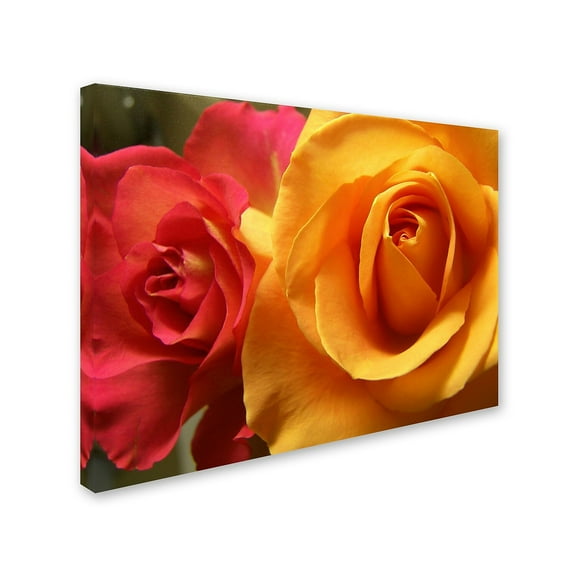 Trademark Fine Art "Ideal Balance" Canvas Art by Monica Fleet