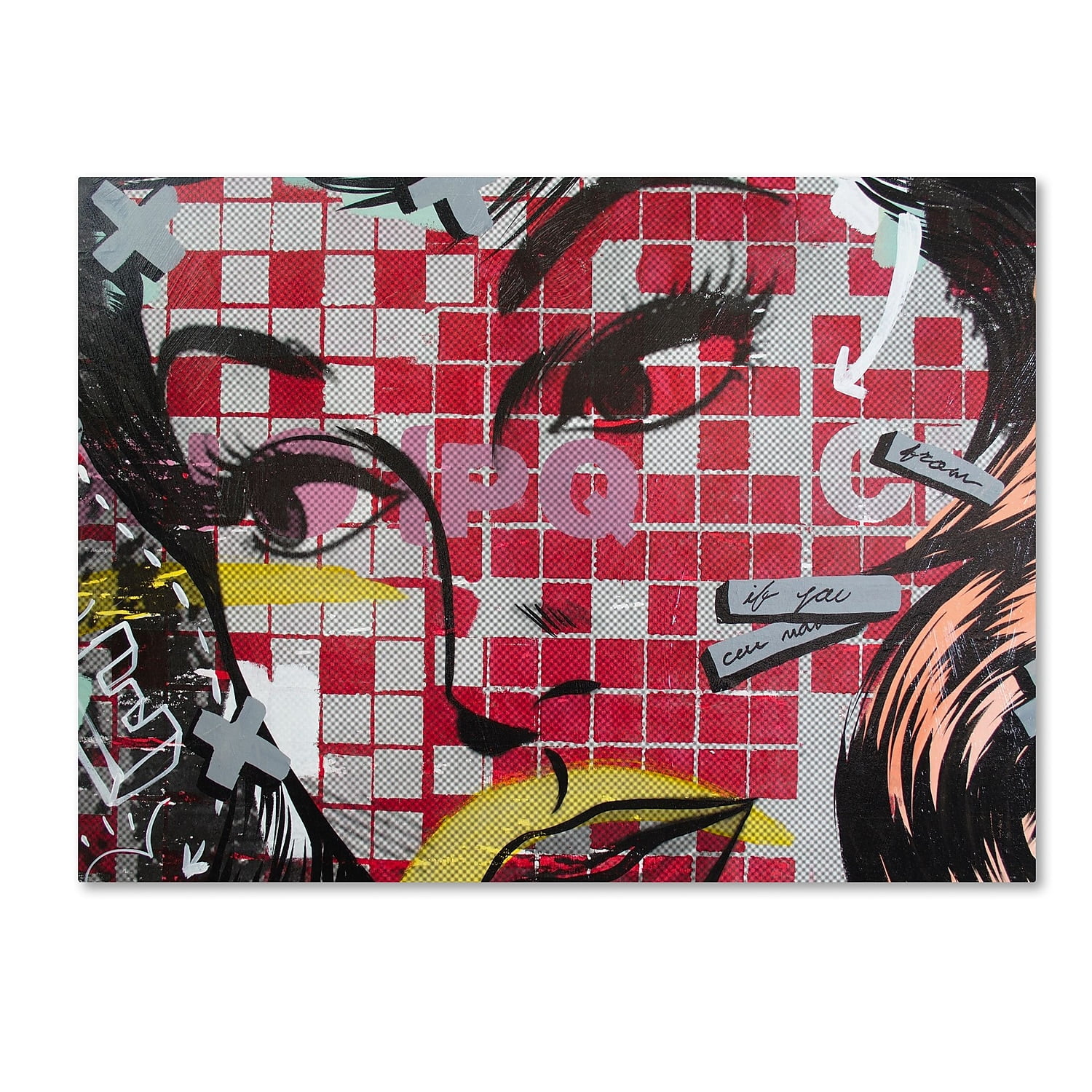 Trademark Fine Art "If You Can" Canvas Art by Dan Monteavaro