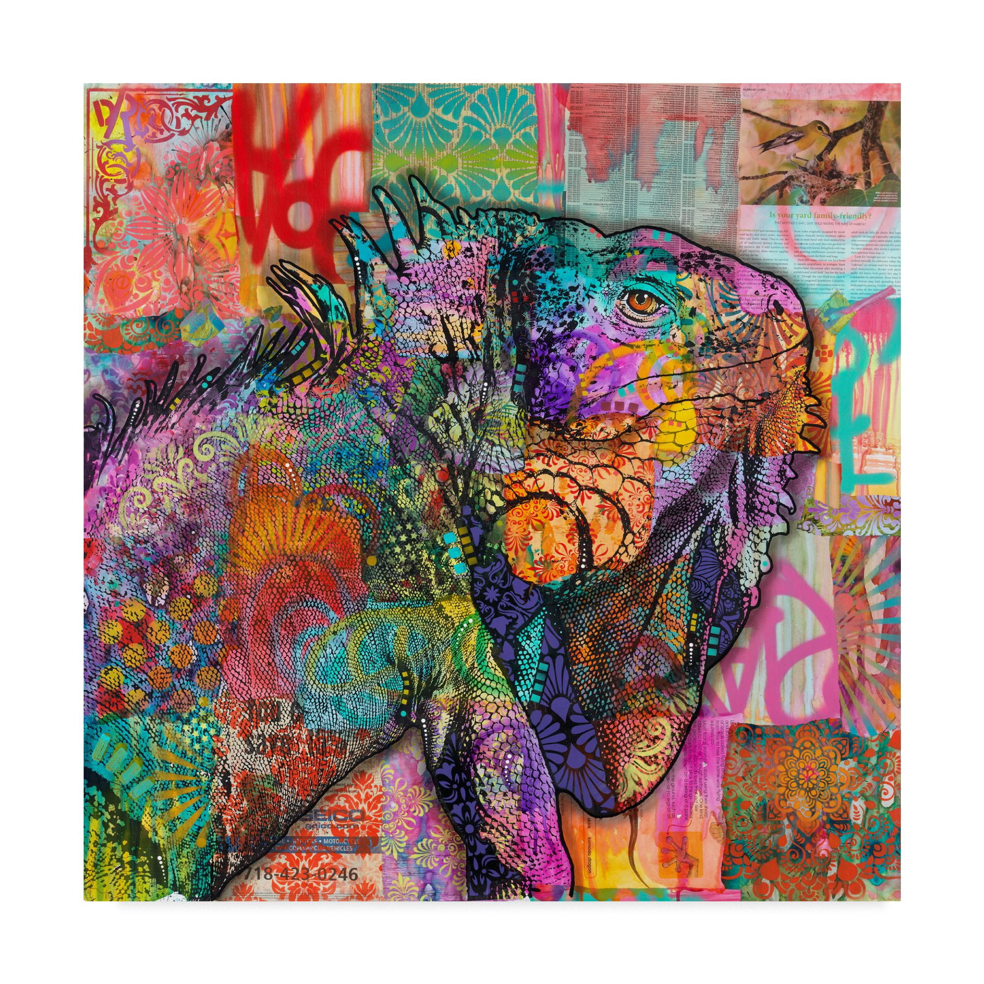 Trademark Fine Art 'Iguana' Canvas Art by Dean Russo